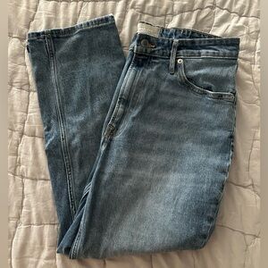 Everlane The Curvy Cheeky Jean Crop Size 30 Organic Cotton, Straight Leg